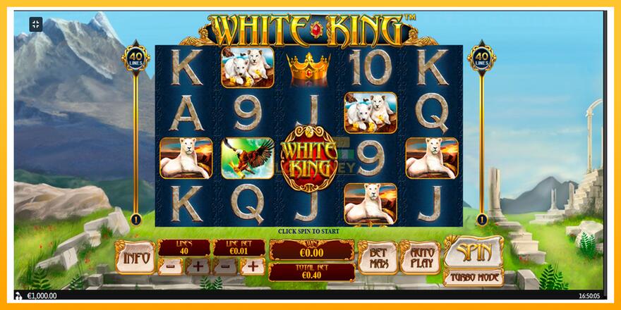 Máquina de jogos White King - chance de ganhar dinheiro, foto 1