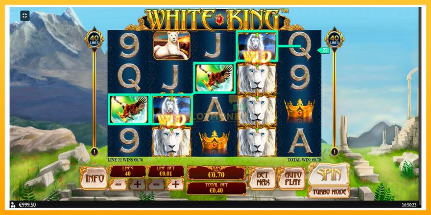 Máquina de jogos White King - chance de ganhar dinheiro, foto 2