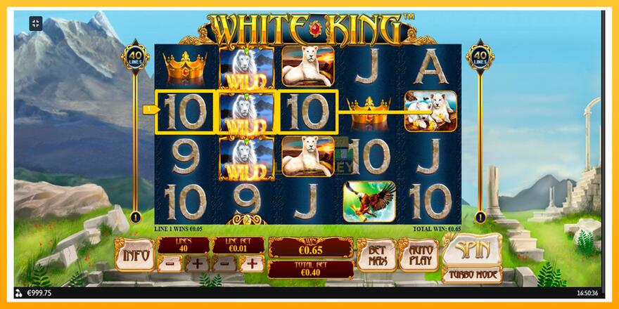 Máquina de jogos White King - chance de ganhar dinheiro, foto 3