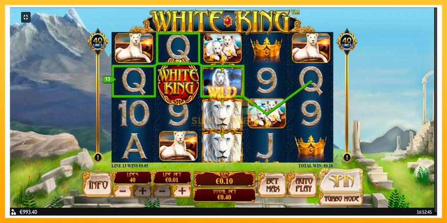 Máquina de jogos White King - chance de ganhar dinheiro, foto 8