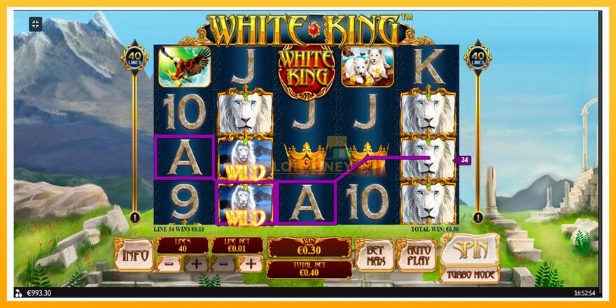 Máquina de jogos White King - chance de ganhar dinheiro, foto 9