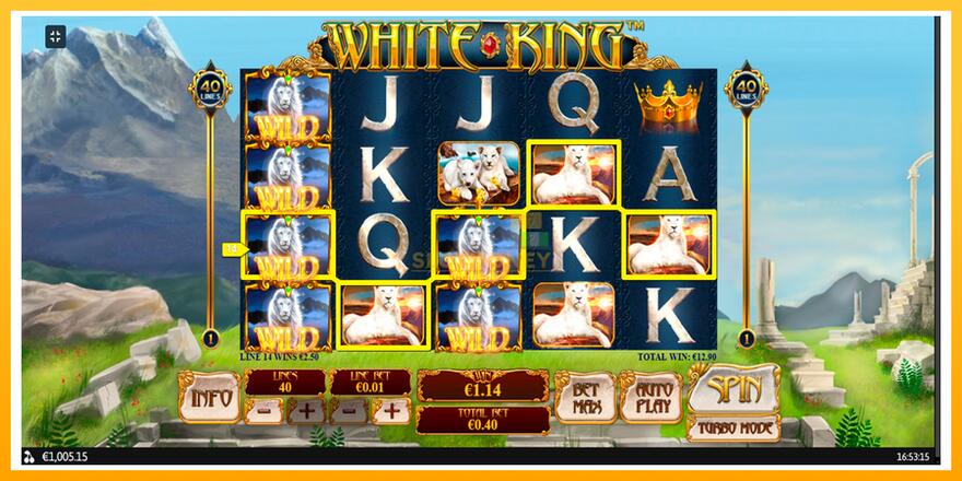 Máquina de jogos White King - chance de ganhar dinheiro, foto 11