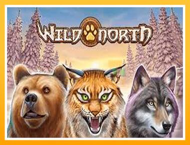 Máquina de jogos Wild North - jogar por dinheiro