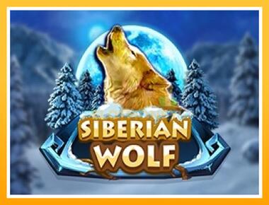 Máquina de jogos Siberian Wolf - jogar por dinheiro