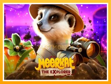 Máquina de jogos Meerkat - jogar por dinheiro