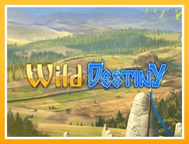 Máquina de jogos Wild Destiny - jogar por dinheiro