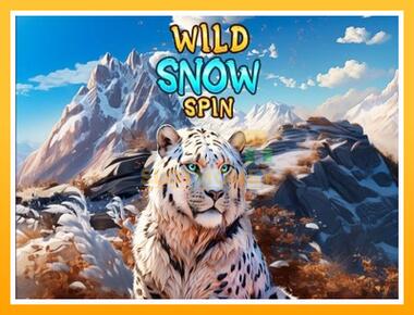 Máquina de jogos Wild Snow Spin - jogar por dinheiro