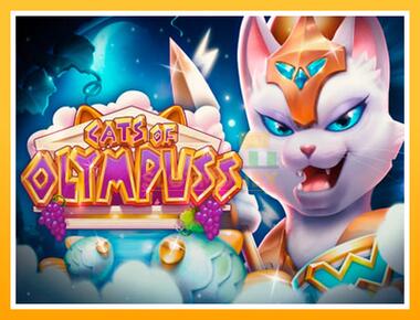 Máquina de jogos Cats of Olympuss - jogar por dinheiro