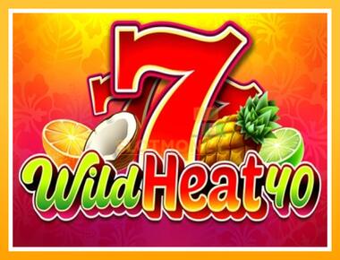 Máquina de jogos Wild Heat 40 - jogar por dinheiro