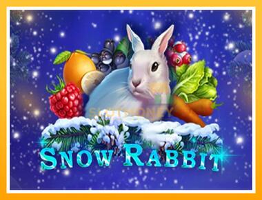 Máquina de jogos Snow Rabbit - jogar por dinheiro