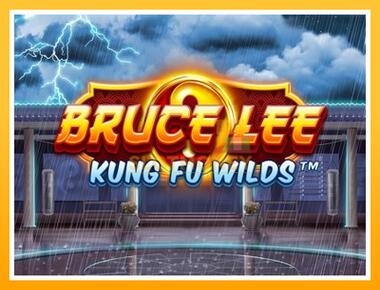 Máquina de jogos Bruce Lee Kung Fu Wilds - jogar por dinheiro