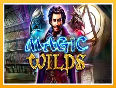 Máquina de jogos Magic Wilds - jogar por dinheiro